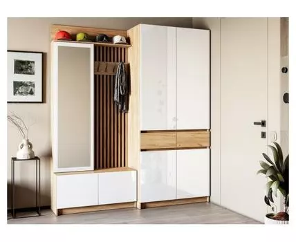 [20025] Модульная прихожая Молд комплектация 2