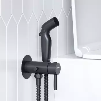 211000300 Смеситель, монтируемый в стену, с гигиеническим душем и держателем