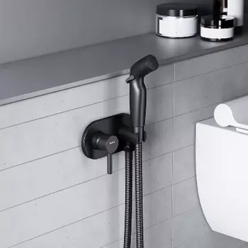 212000300 Смеситель, монтируемый в стену с гигиеническим душем