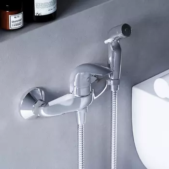 318000000 Смеситель для душа с гигиенической лейкой, держателем и шлангом