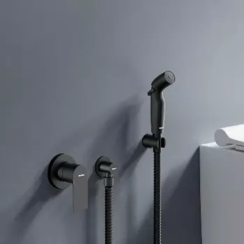 477510300 Смеситель монтируемый в стену с гигиеническим душем