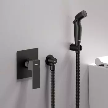 537510300 Смеситель монтируемый в стену с гигиеническим душем