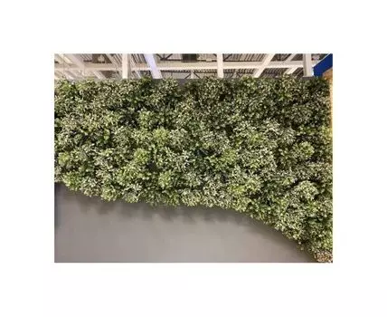 Арлен Франсуа 1кв.м