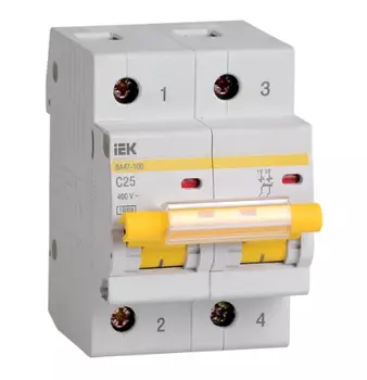 Авт. выключатель 2П IEK, С 25, 10кА, VA47-100