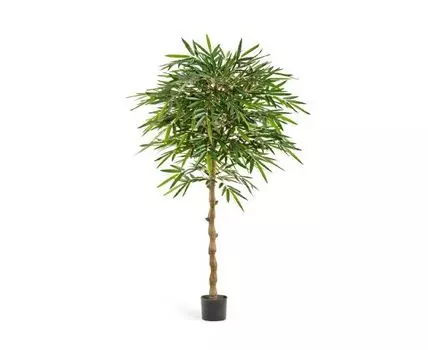 Бамбук Новый зонтичный 180 см 2/2