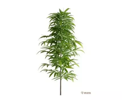 Бамбуковая палка с ветками Latex Люкс