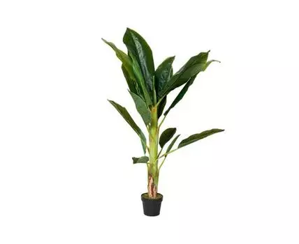 Банановый куст (Зеленый)