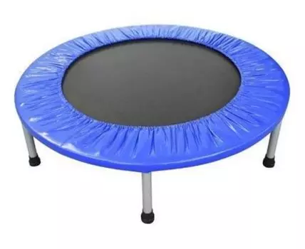 Батут AL-100 1000 мм