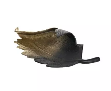 Блюдо leaf (золотистый, черный, 22)