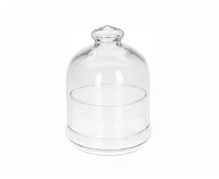 Блюдо сервировочное с крышкой Dome (прозрачный, 12)