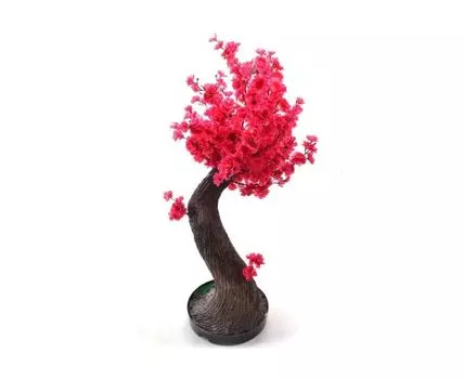 Бонсай Сакура Юфа