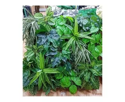 Борисста 1кв.м