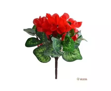 Букет Цикламен красный