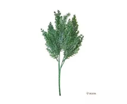 Букет Харти