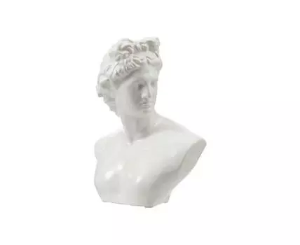 Бюст 18x14x24см