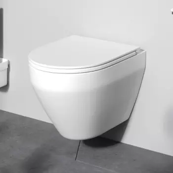 C701700MWSC Унитаз подвесной FlashClean с сиденьем микролифт, матовый
