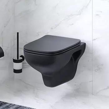 C85A1700MBSC Унитаз подвесной FlashClean с сиденьем микролифт