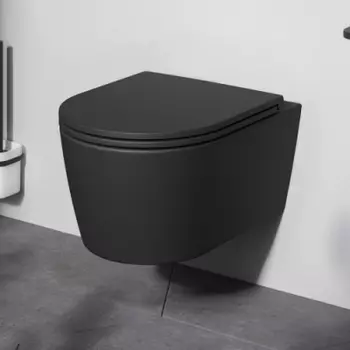 C8F1700MBSC Унитаз подвесной FlashClean с сиденьем микролифт, матовый