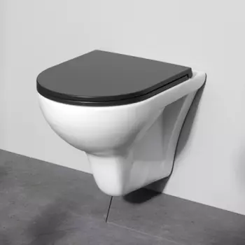 C901700SCmb Унитаз подвесной FlashClean с сиденьем микролифт