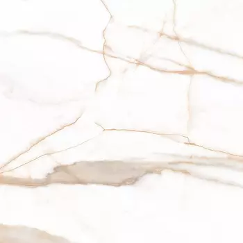 Calacatta Goddes Gold Керамогранит белый 60х60 Полированный
