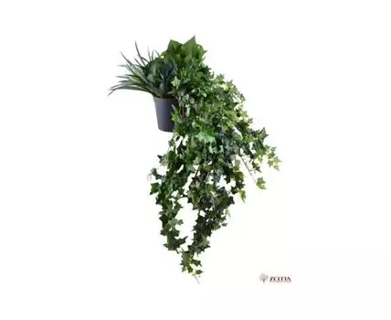 Цв. композиция Остин