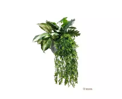 Цветочная композиция Берта