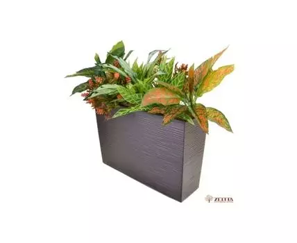 Цветочная композиция Джуди