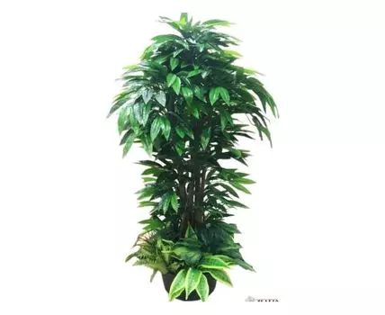 Цветочная композиция Джулия