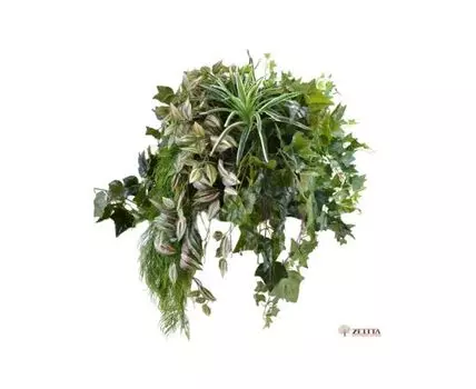 Цветочная композиция Фелиция