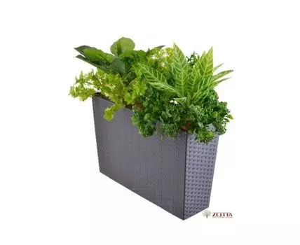 Цветочная композиция Фенсис