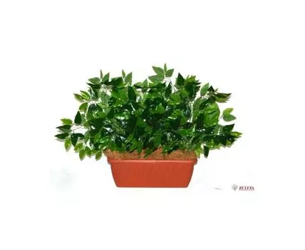 Цветочная композиция Филли