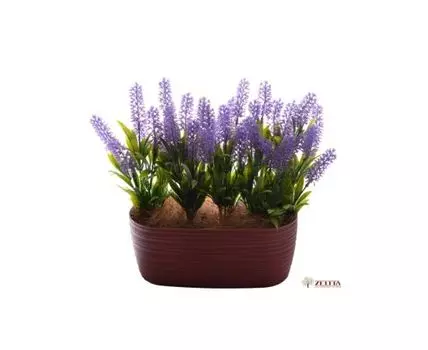 Цветочная композиция Лавандия