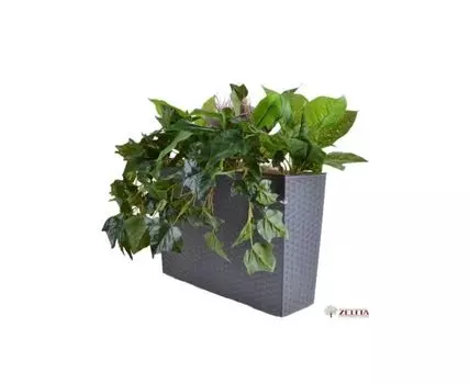 Цветочная композиция Луиззи