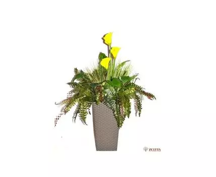 Цветочная композиция Мабель