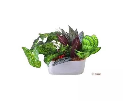 Цветочная композиция Майя