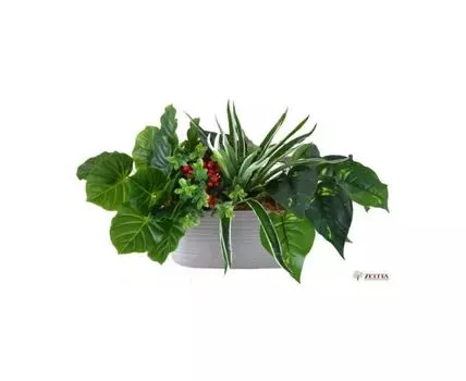 Цветочная композиция Марика