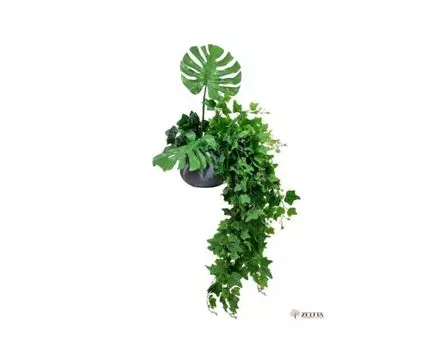 Цветочная композиция Найса