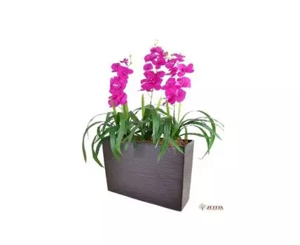 Цветочная композиция Орхидеи