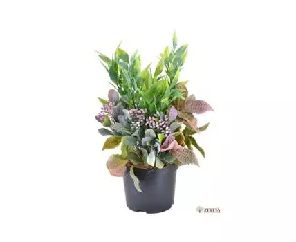 Цветочная композиция Стейси