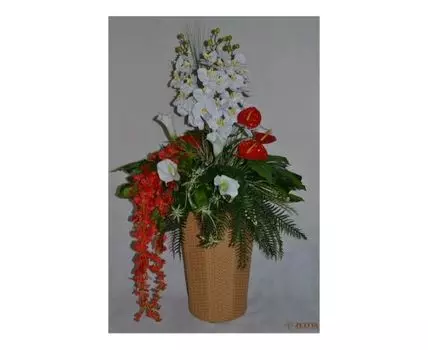 Цветочная композиция Умбрелла