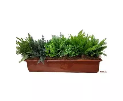 Цветочная композиция Ванесса