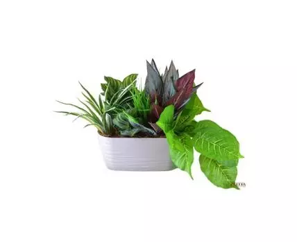 Цветочная композиция Ветта