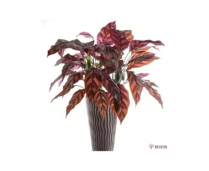 Цветочная композиция Вирджиния