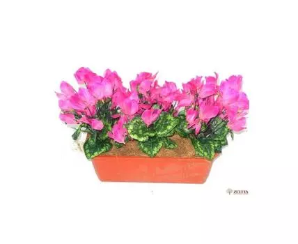 Цветочная композиция Вивьен