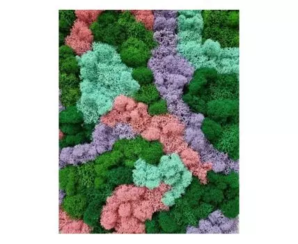 Данси Мох Люкс 1кв.м