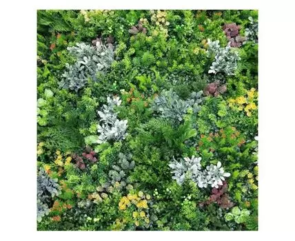 Дарлен 1кв.м