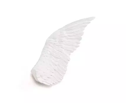 Декоративное панно Wing Left (Белый, 80)