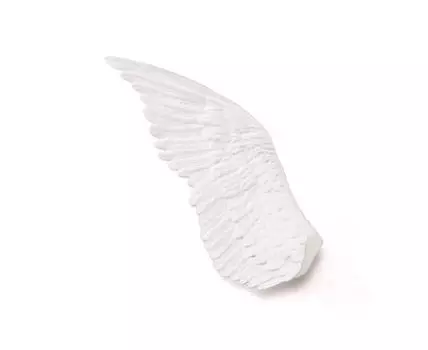 Декоративное панно Wing Right (Белый, 80)