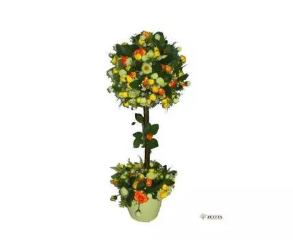 Дерево счастья Фарнесс