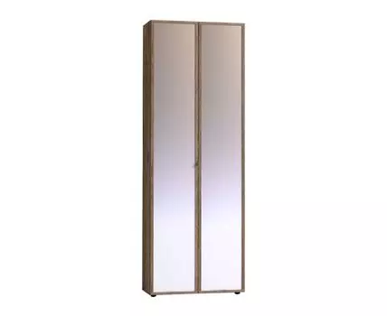 Детский шкаф Натура (230, 38.9, С двумя зеркалами, Прямые, Коричневое дерево, 79.8)